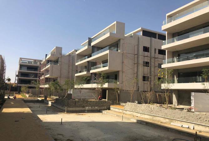 91568029 - Property Image 2