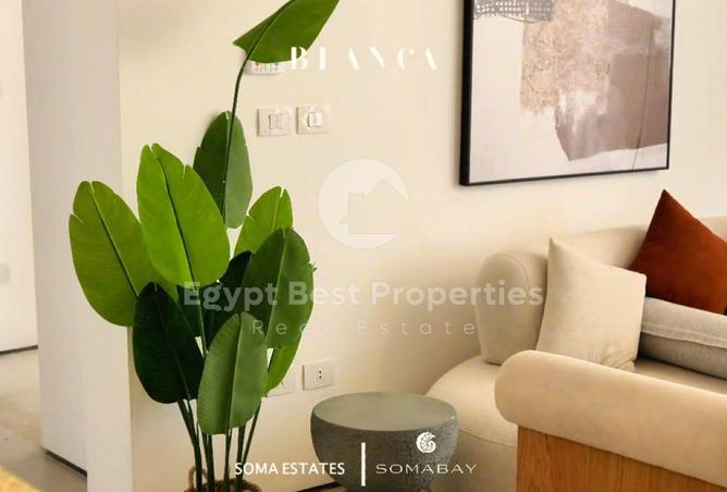 98007016 - Property Image 3