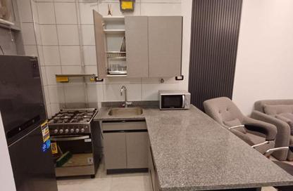 Apartment - 1 Bedroom - 1 Bathroom for rent in Al Saleh Ayoub St. - Zamalek - Cairo