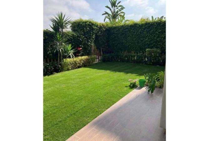 55505646 - Property Image 2