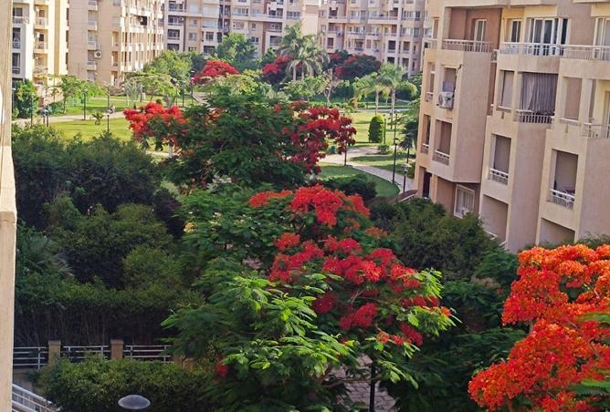 83143515 - صورة العقار 2