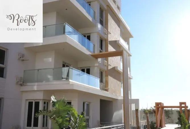 116484443 - Property Image 3