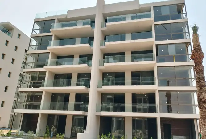 119334825 - Property Image 3