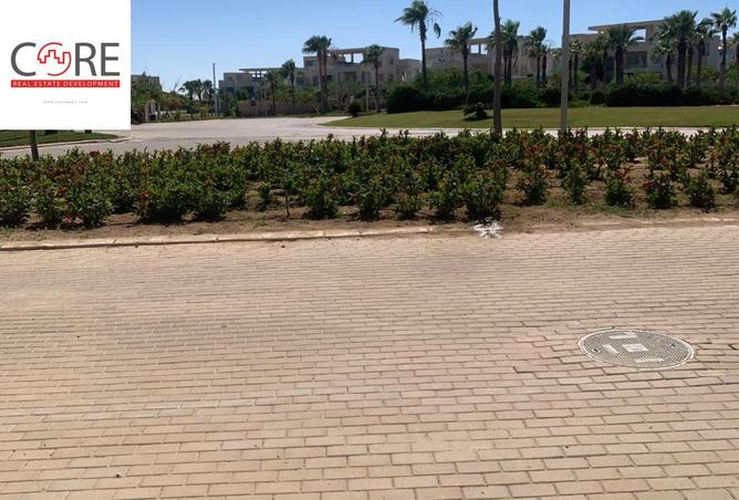 100090473 - صورة العقار 3