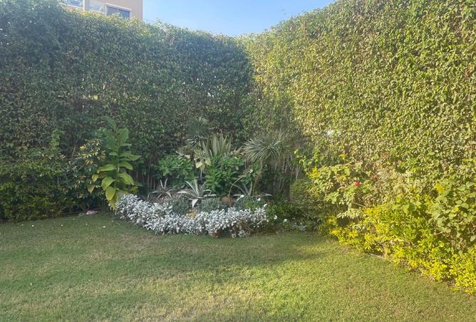 96046787 - صورة العقار 2