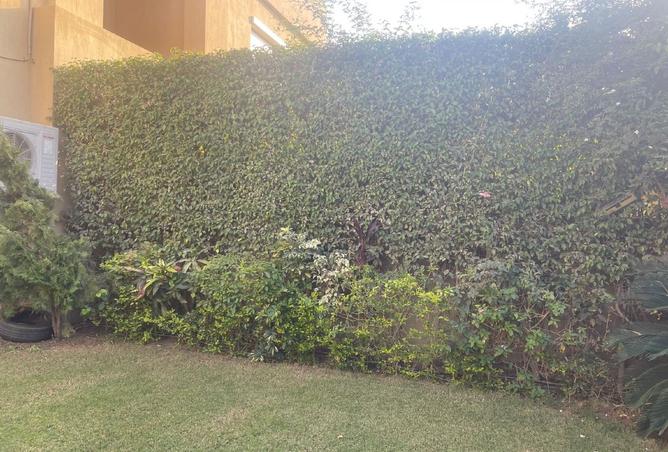 96046787 - صورة العقار 3