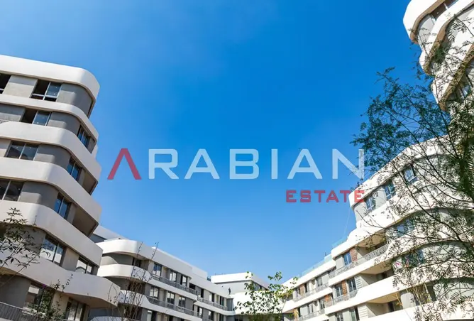 117538197 - Property Image 2