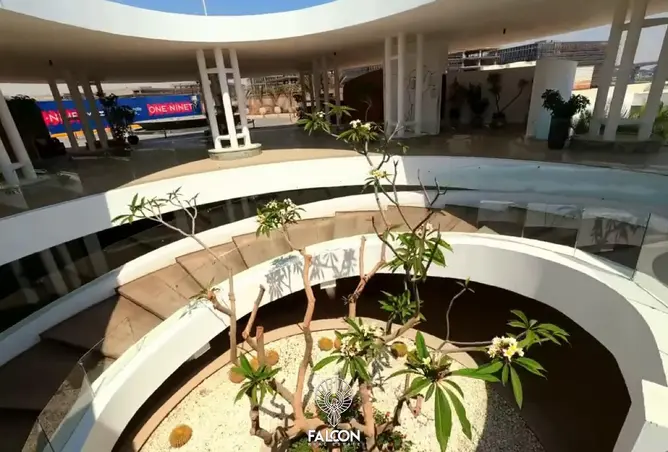 117277490 - صورة العقار 3