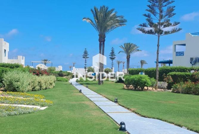 94923914 - صورة العقار 3