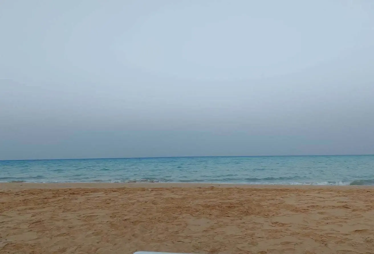116491285 - الصورة الرئيسية للعقار