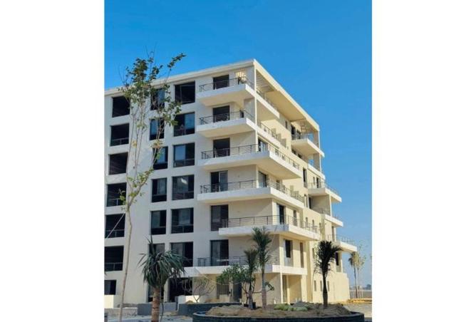 8435239 - Property Image 3