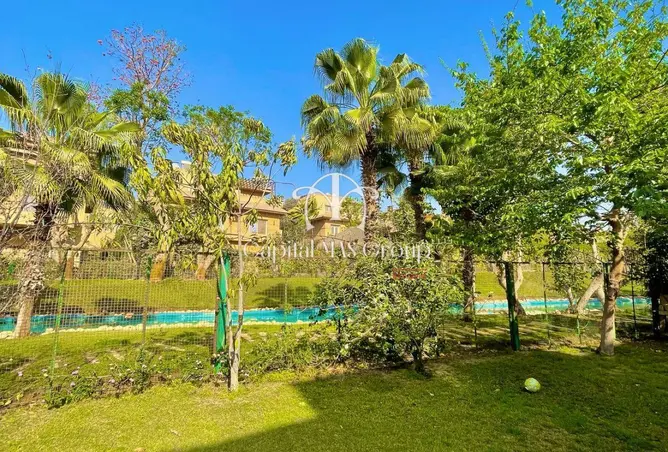 111882248 - Property Image 2