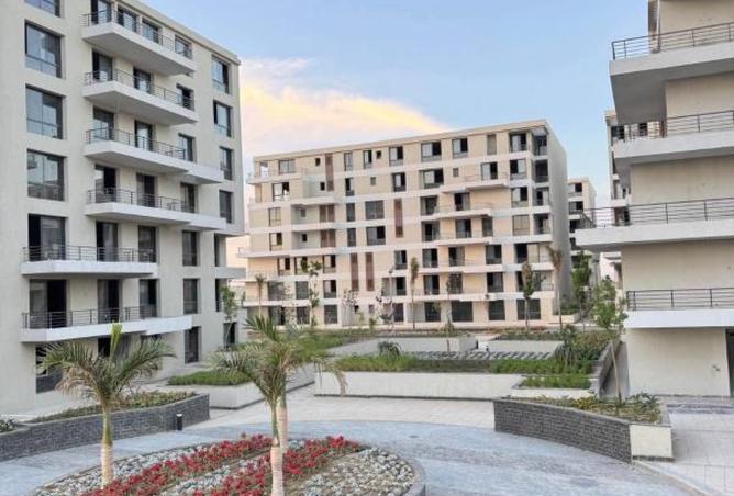 8435439 - Property Image 2