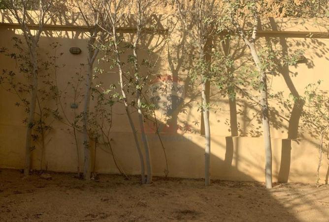 53226947 - صورة العقار 3