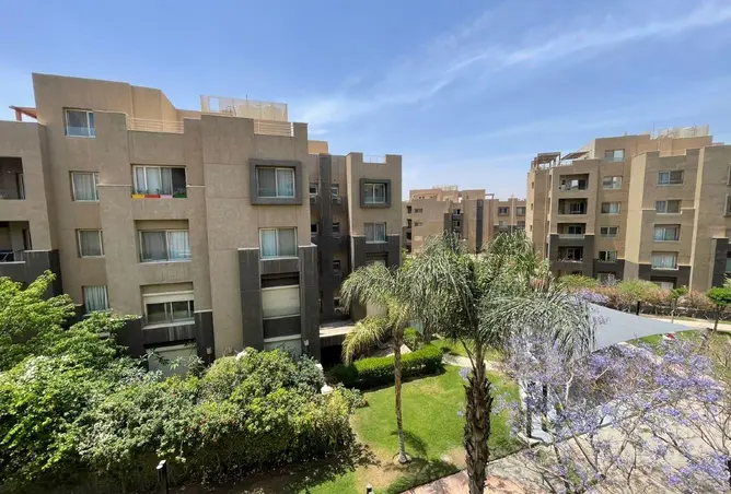 111315671 - Property Image 3