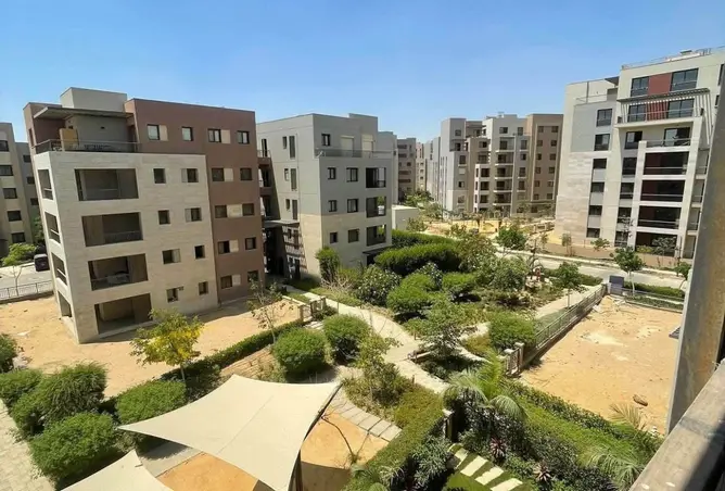 113542359 - Property Image 2