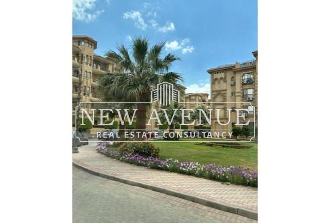 56247981 - Property Image 2