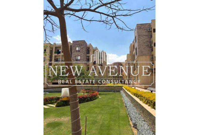 56247981 - Property Image 3