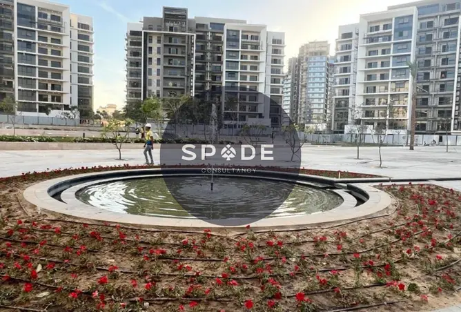 118287500 - Property Image 3