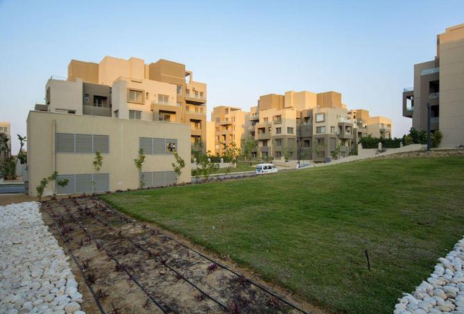 56252900 - صورة العقار 2