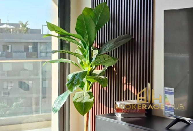 8658493 - صورة العقار 3