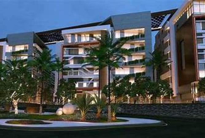 56995516 - Property Main Image