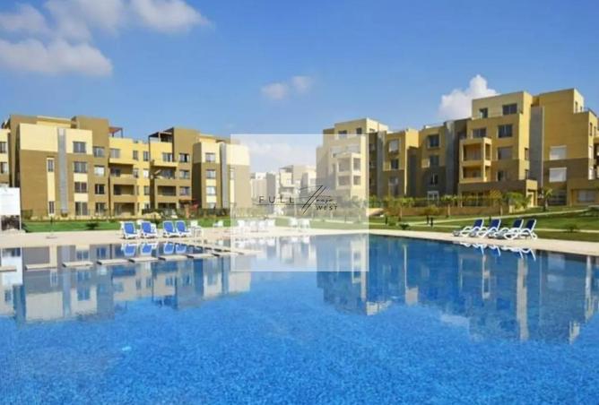 8432832 - Property Image 3