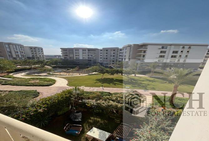 53473506 - Property Image 3