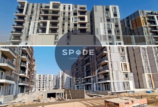 81312801 - Property Image 3