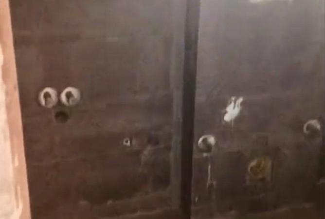 62407597 - Property Image 2