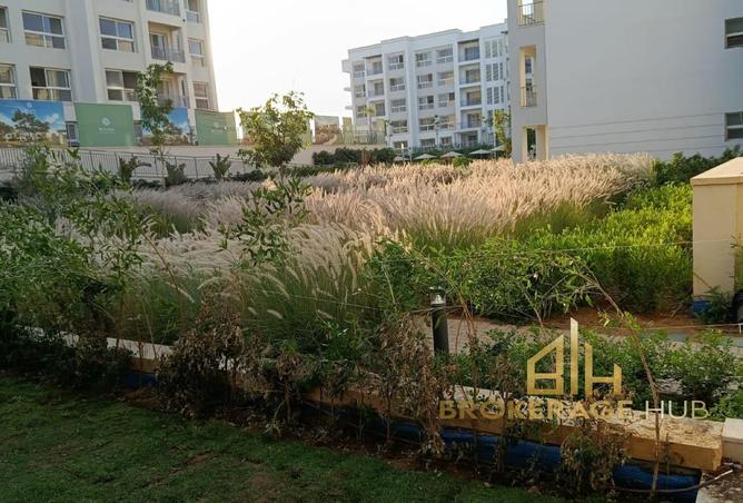102911844 - Property Image 2