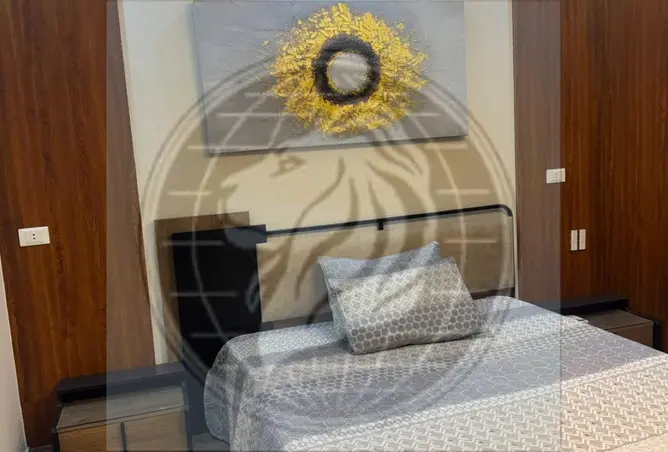 118541446 - Property Image 3
