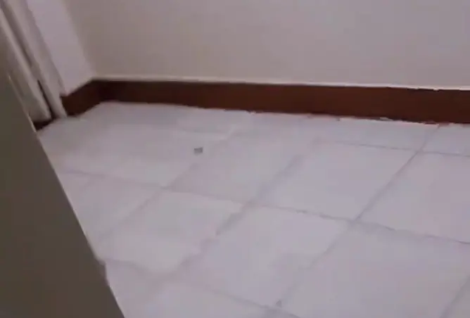 107137783 - صورة العقار 3