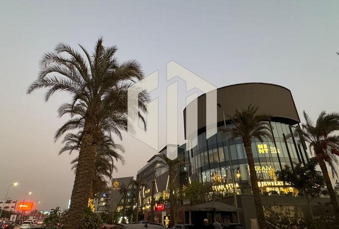 66696983 - صورة العقار 2