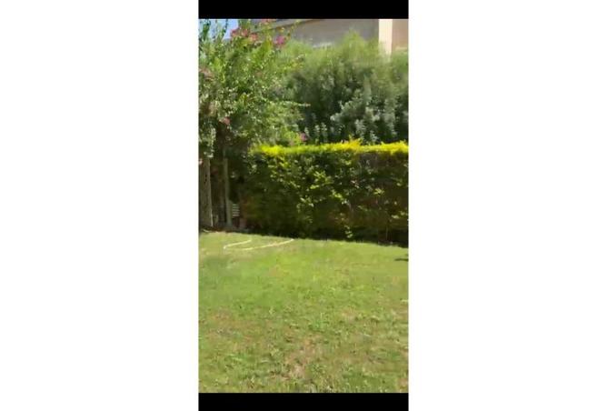 104884797 - صورة العقار 2