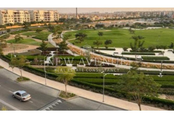 75390231 - Property Image 3