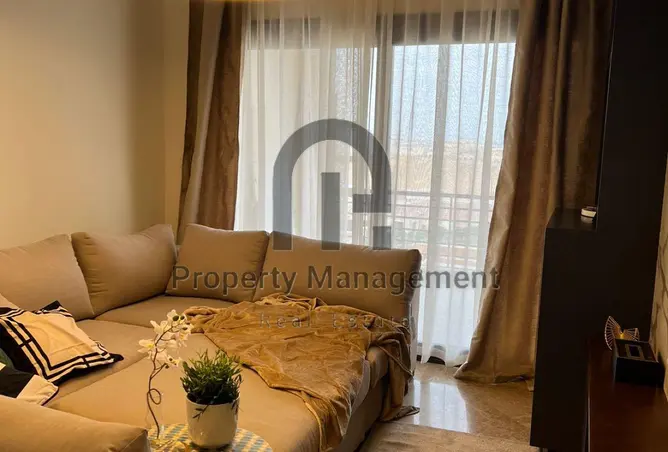 117023691 - Property Image 3