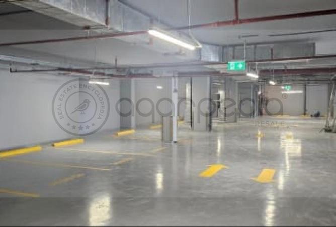 55507883 - Property Image 3