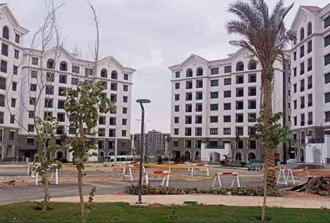 8585098 - Property Image 3