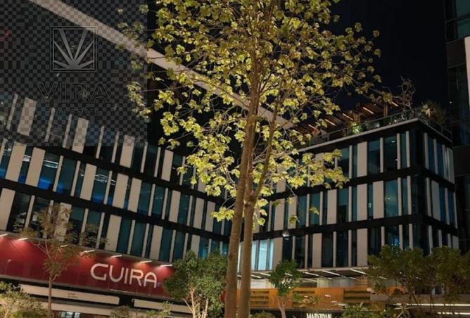 66250282 - صورة العقار 2