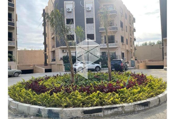 61924424 - Property Image 3