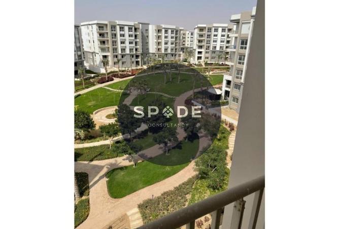 8681282 - Property Image 3