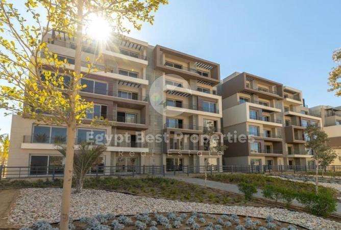 59234288 - Property Image 3