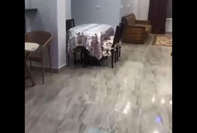 89556757 - صورة العقار 2