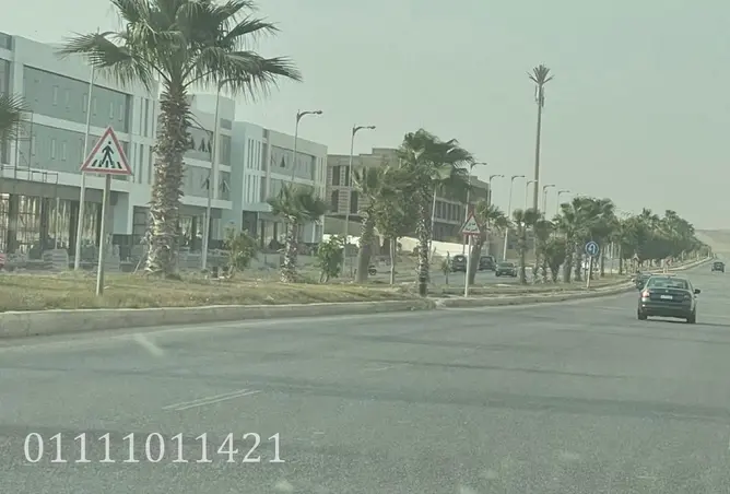 111606763 - Property Image 3