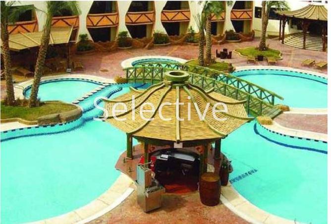 66176453 - صورة العقار 3