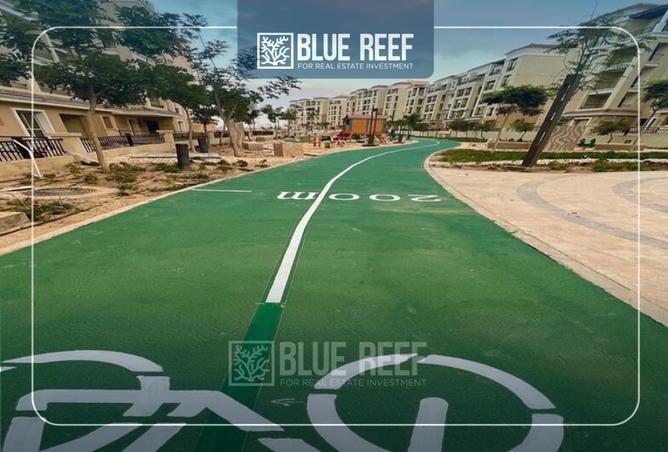 68525473 - Property Image 3