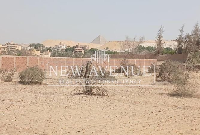 52970118 - صورة العقار 3