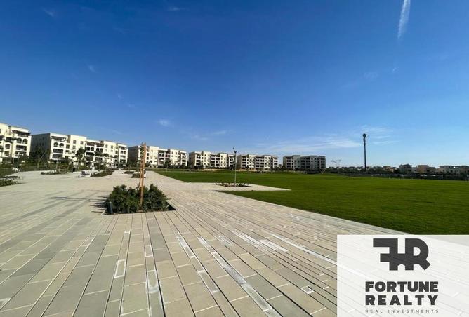 61682006 - Property Image 2