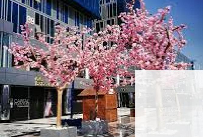 65913800 - صورة العقار 2